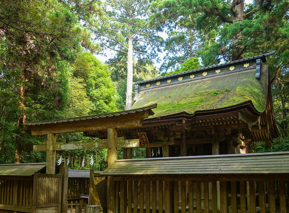 霞ヶ浦総合公園