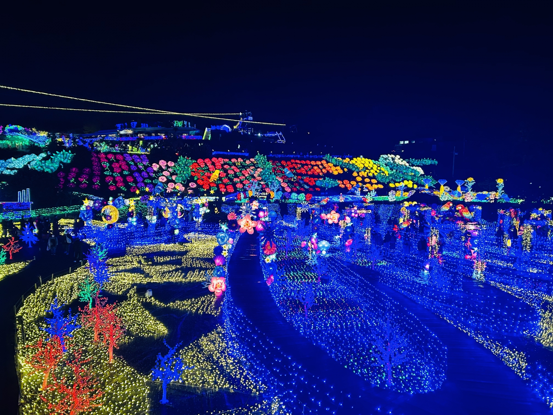 東京から行けるイルミネーションスポット｜クリスマスに行きたい観光＆宿泊スポットおすすめ5選【2025年版】