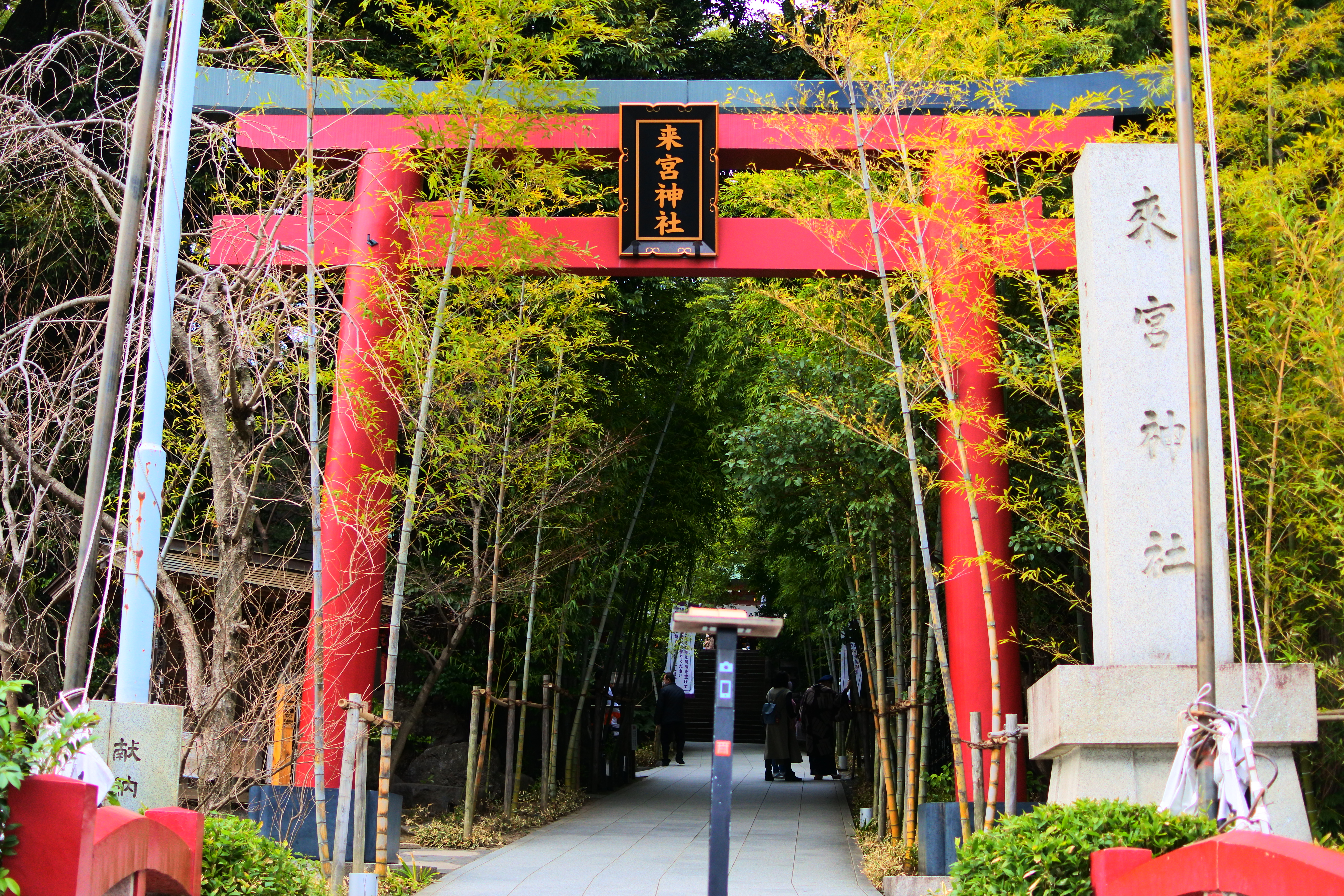 【関東エリア】初詣におすすめ神社5選│宿泊スポットも紹介！混雑を避けてゆっくり参拝する旅へ