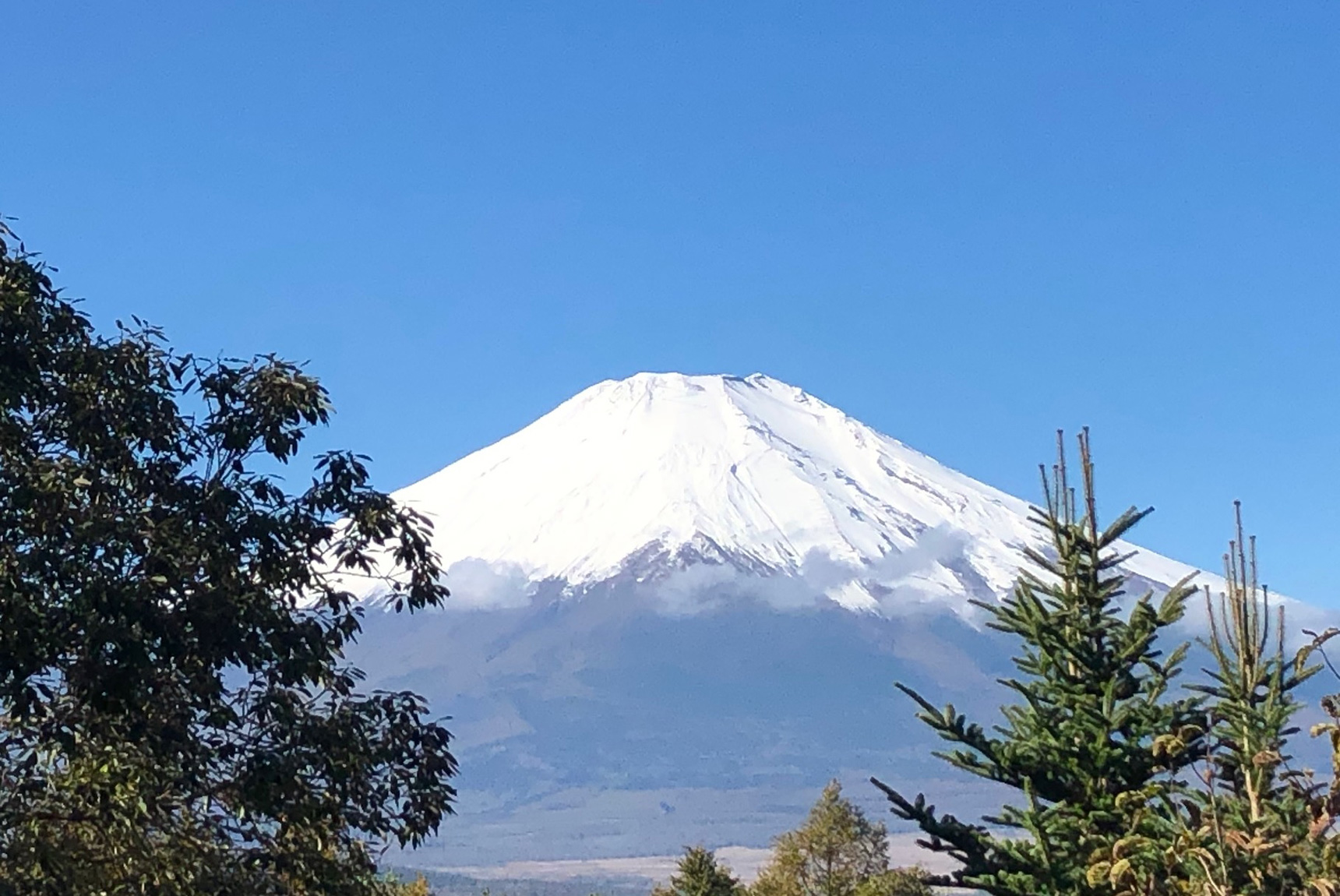 ロイヤルリゾート山中湖