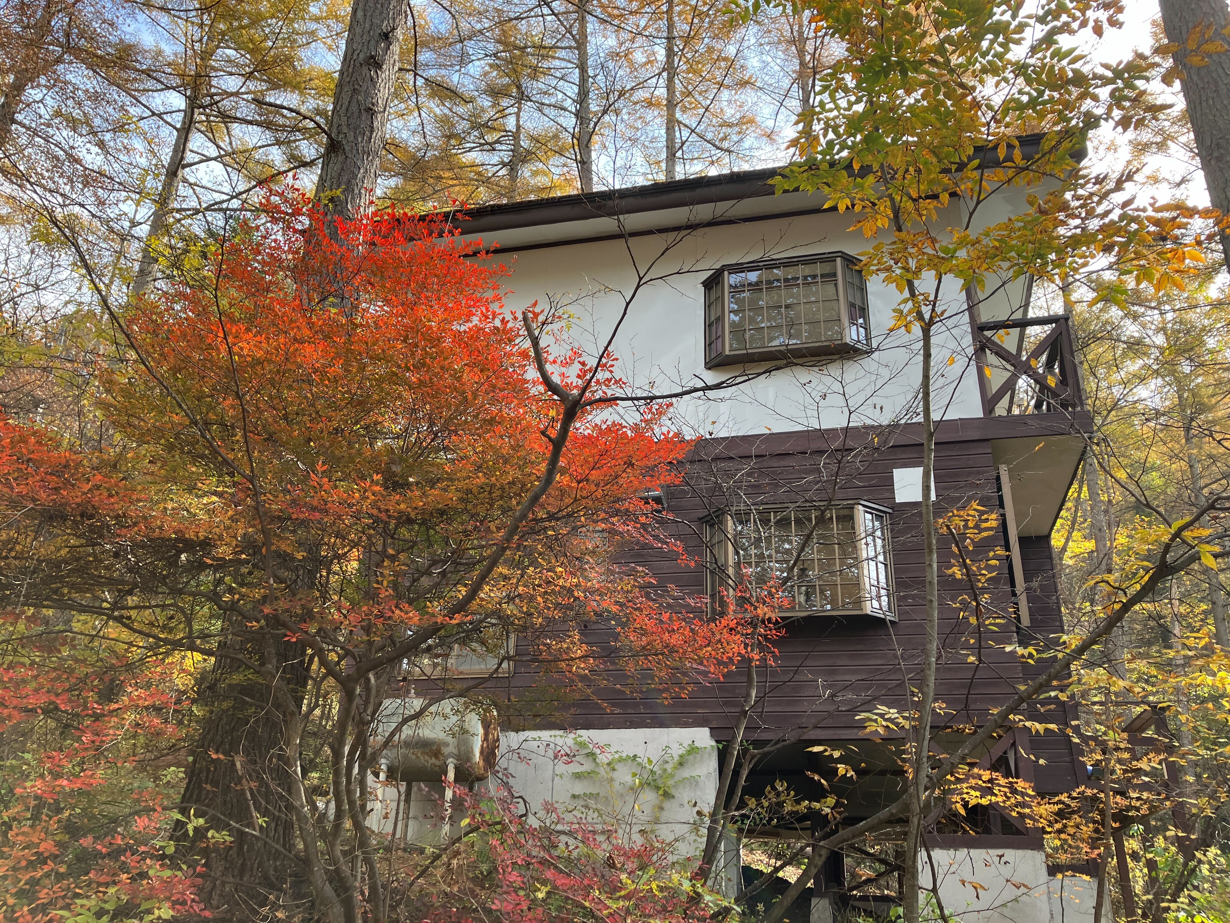 離山の林の中の閑静な別荘地