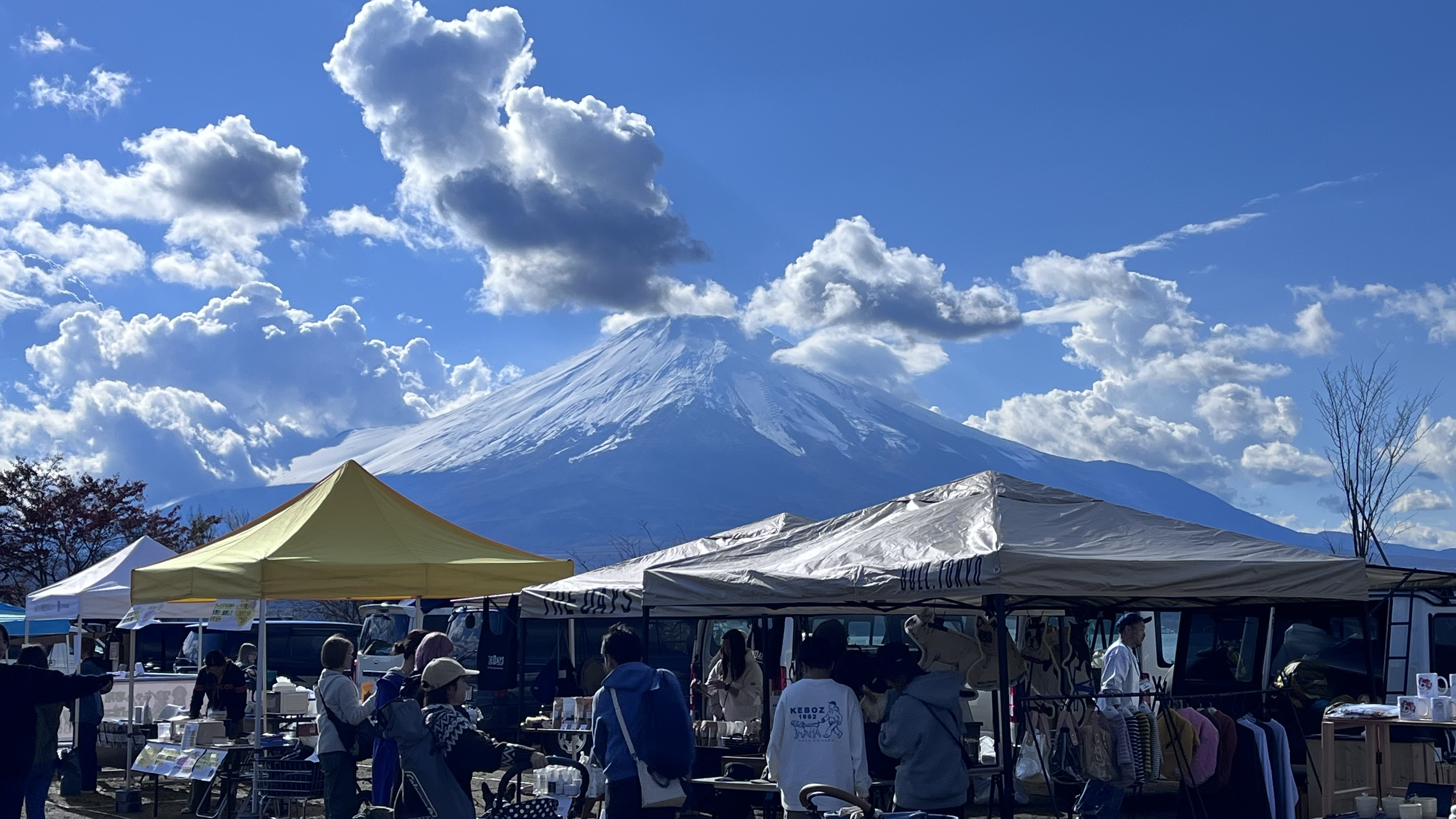 富士山を眺めながら、湖のほとりを愛犬とともに散歩する落ち着いた生活